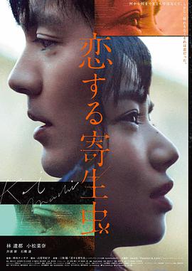 紫川动漫免费观看完整版 设定集内页
